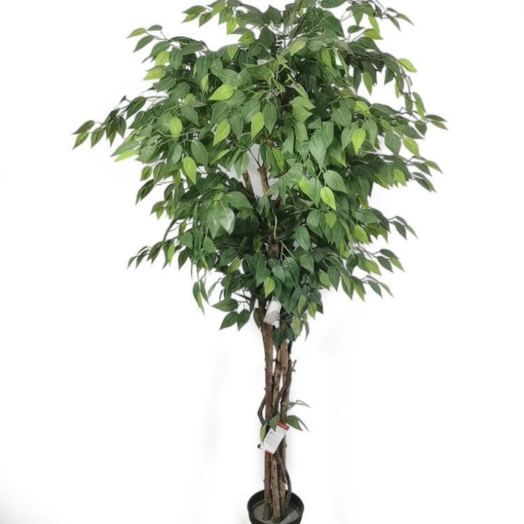 Australia Home Decoration Artificial Ficus Tree Buy artificial ficus