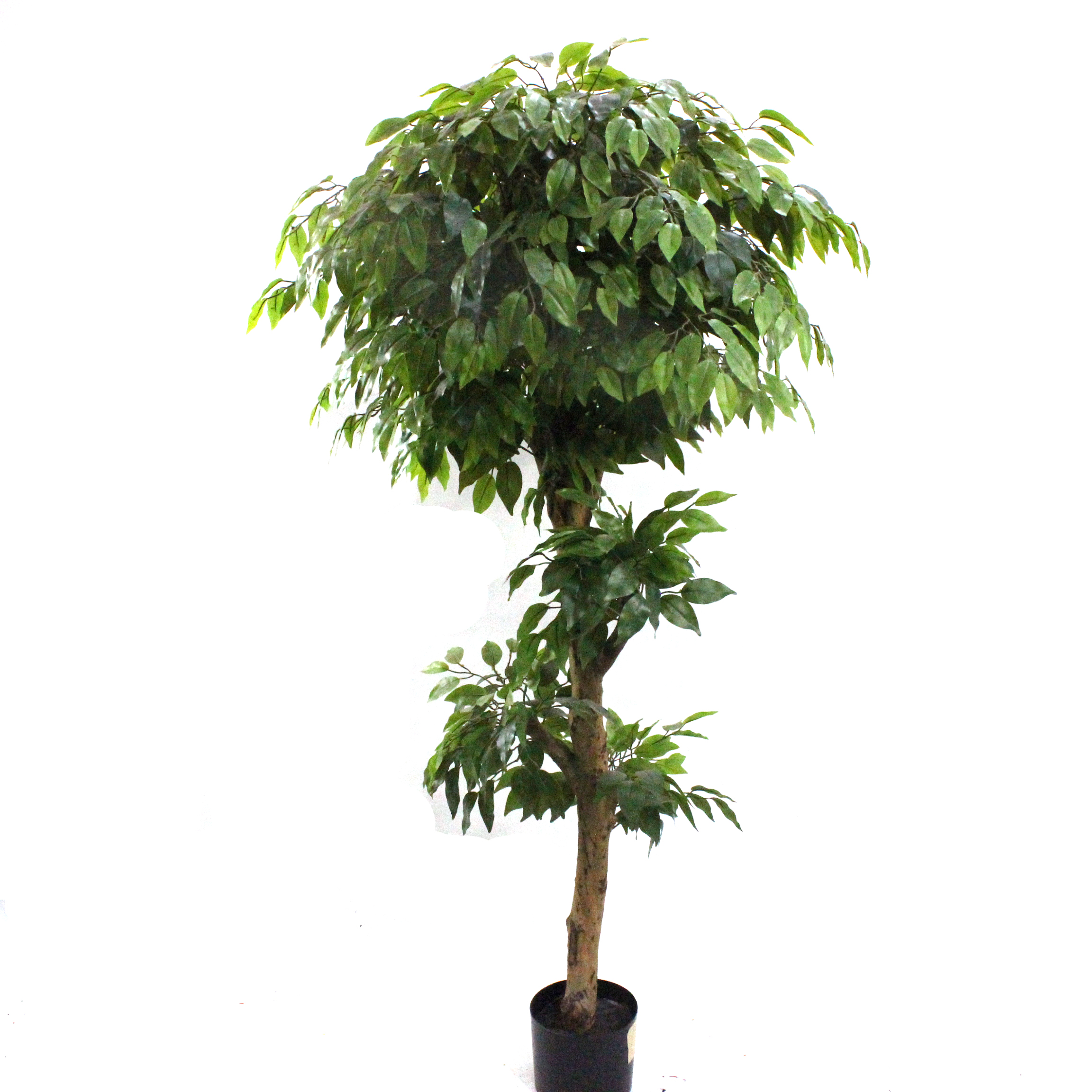 Australia Home Decoration Artificial Ficus Tree Buy artificial ficus