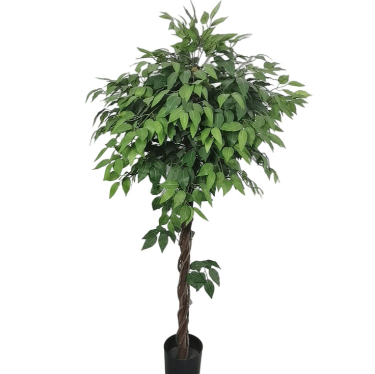 Australia Home Decoration Artificial Ficus Tree Buy artificial ficus