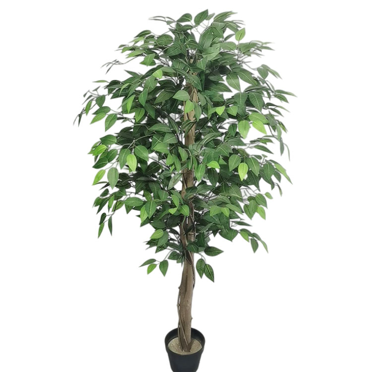 Australia Home Decoration Artificial Ficus Tree Buy artificial ficus